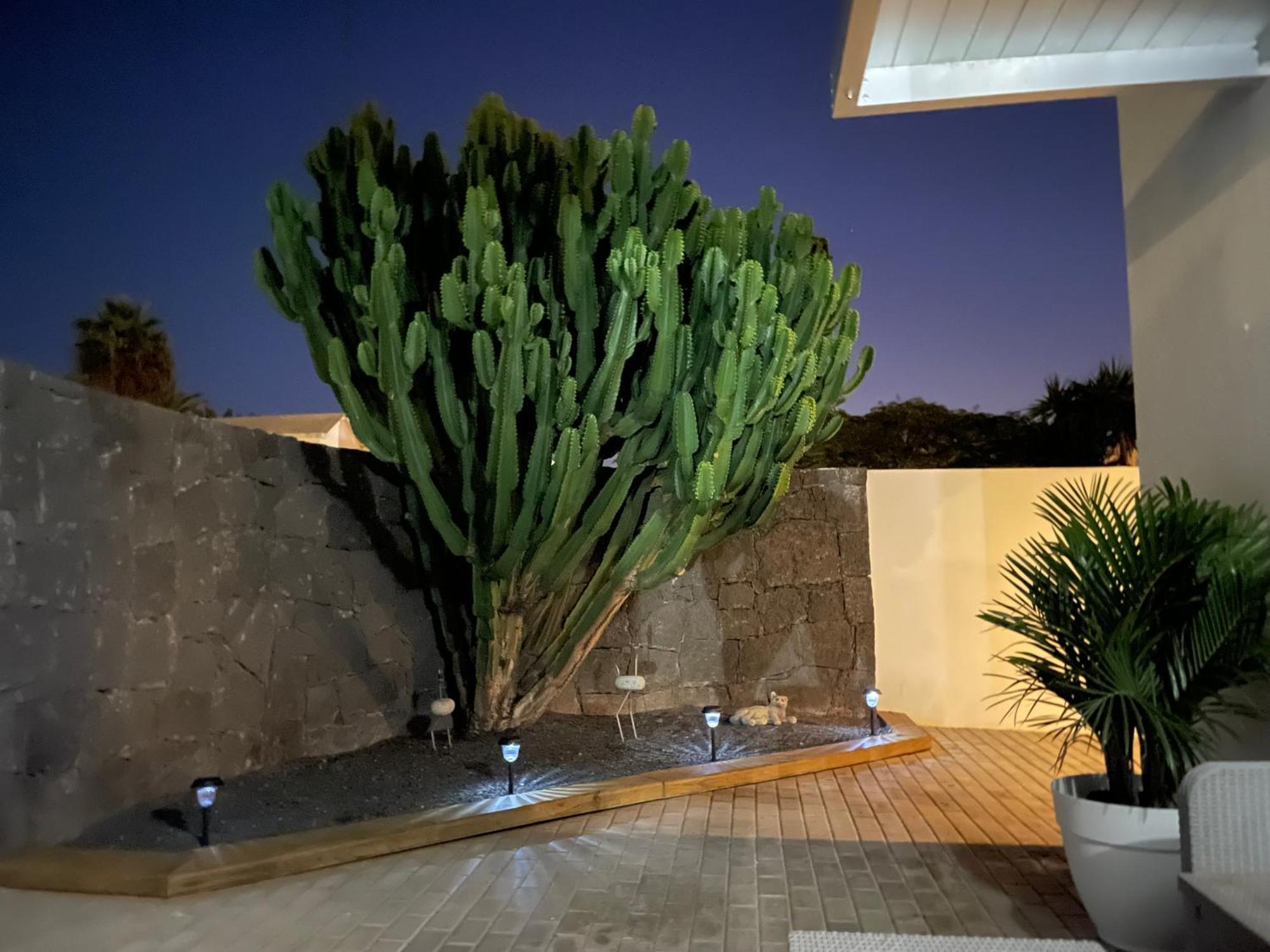 Villa Grey By Vulcano Homes Tahiche Exterior foto